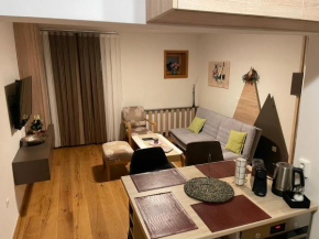 Apartman 212 - Aparthotel Vucko Jahorina - private host